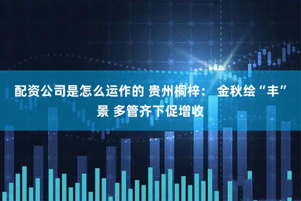 配资公司是怎么运作的 贵州桐梓： 金秋绘“丰”景 多管齐下促增收