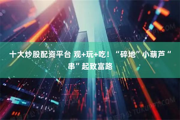 十大炒股配资平台 观+玩+吃！“碎地”小葫芦“串”起致富路