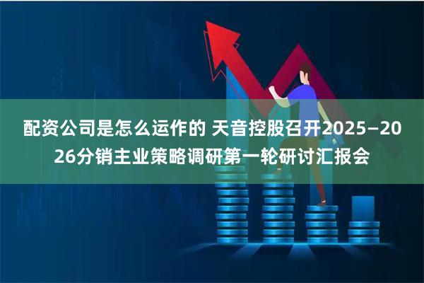 配资公司是怎么运作的 天音控股召开2025—2026分销主业策略调研第一轮研讨汇报会
