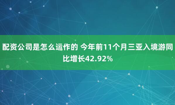 配资公司是怎么运作的 今年前11个月三亚入境游同比增长42.92%