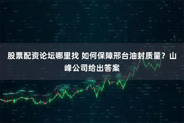 股票配资论坛哪里找 如何保障邢台油封质量？山峰公司给出答案